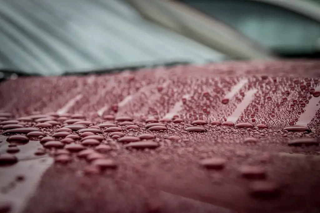 water beads on a ceramic coated car