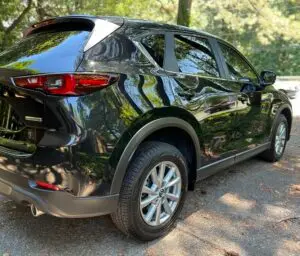 Entry level ceramic paint coating