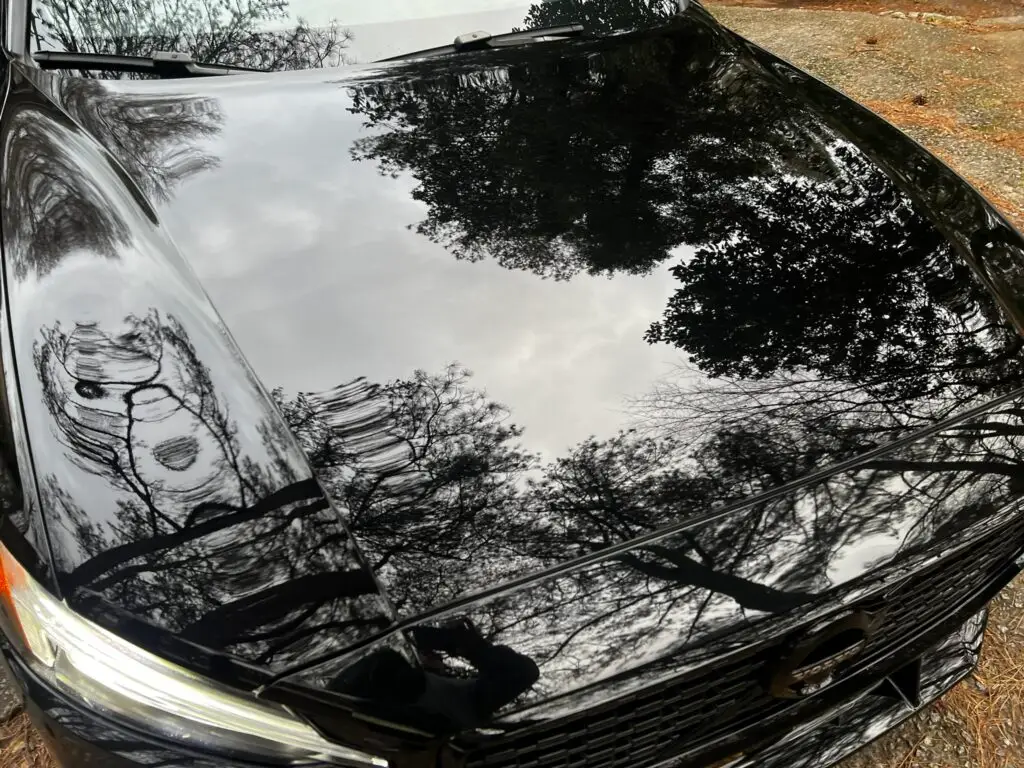 one step paint correction buffing and polishing